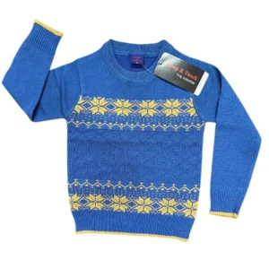 Boys Cotton Sweater-WS145
