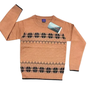 Boys Cotton Sweater-WS147