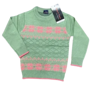 Boys Cotton Sweater-WS146