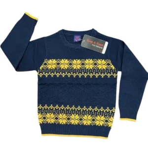 Boys Cotton Sweater-WS141