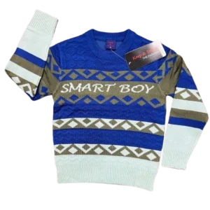 Boys Cotton Sweater-WS131